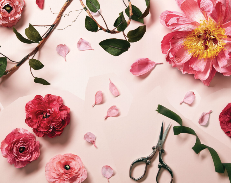 Etsy Free Shipping Campaign - 