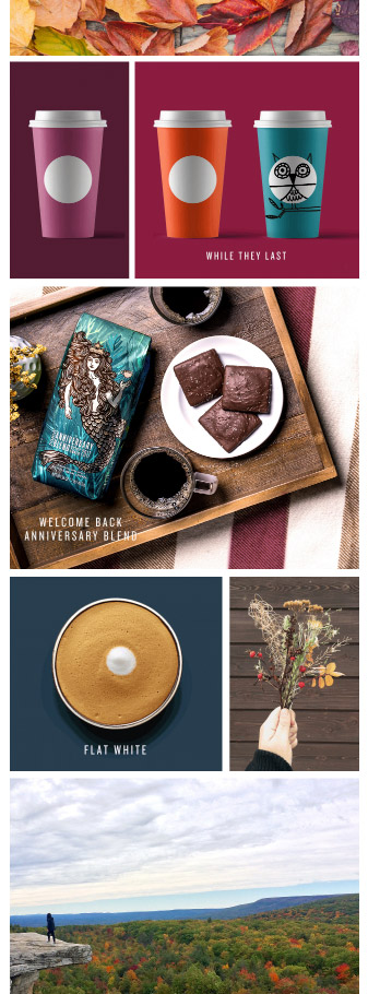 starbucks email marketing strategies