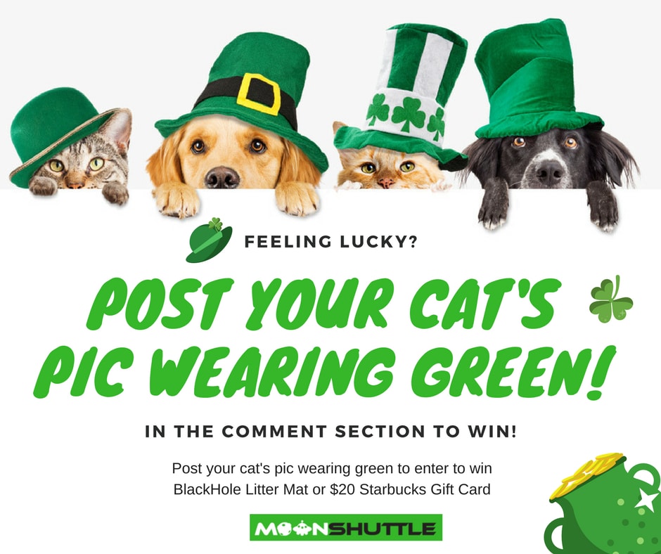 Celebrate St. Patrick's Day with Academic-Answers.net Get Amazing Discounts on Assignment!