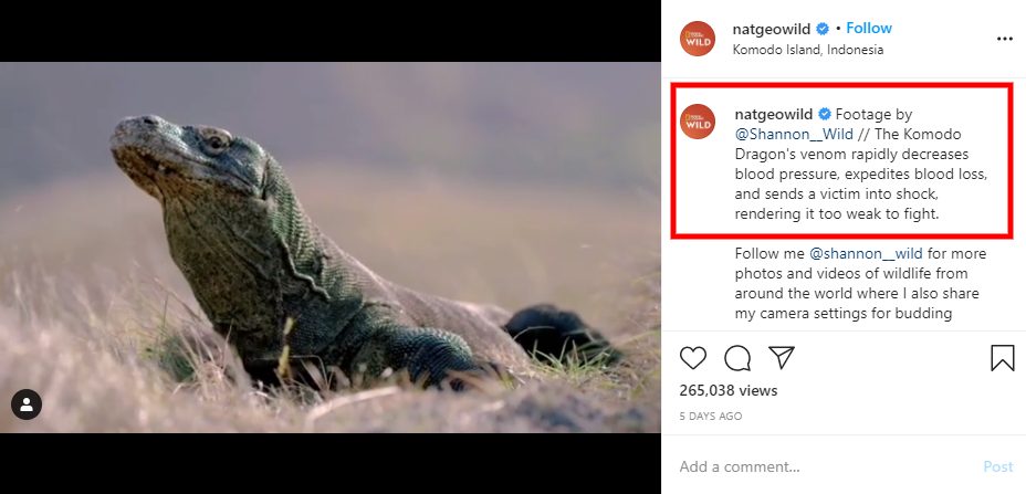 8 Must-Have Tips for Crafting the Perfect Instagram Caption