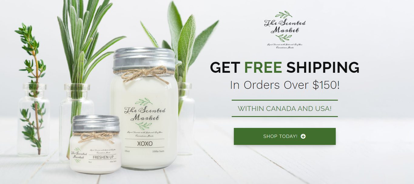 shopify success story shopify success story