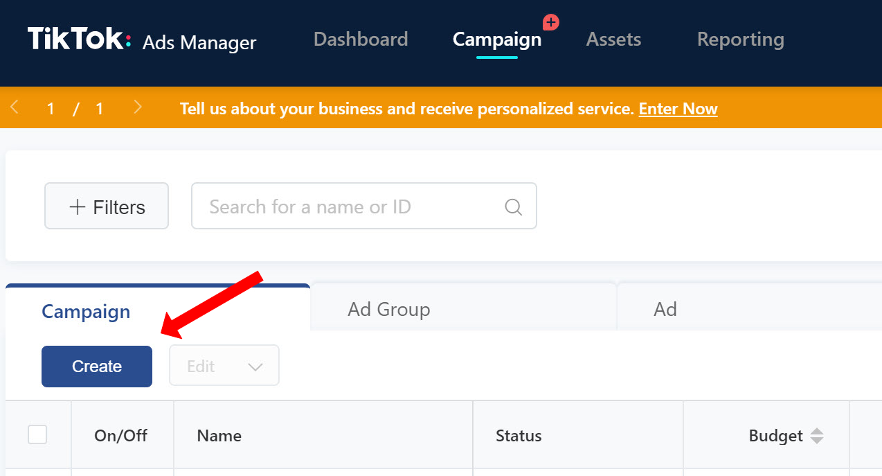 Create TikTok ads group