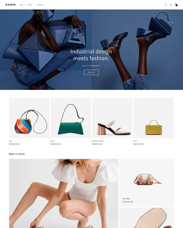 Does Shopify Offer Web Hosting