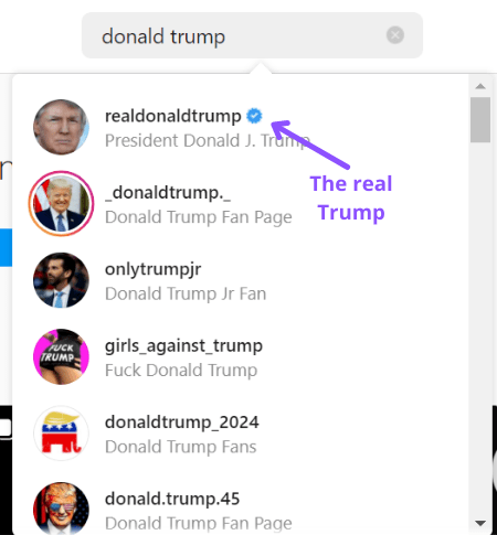 Instagram verification