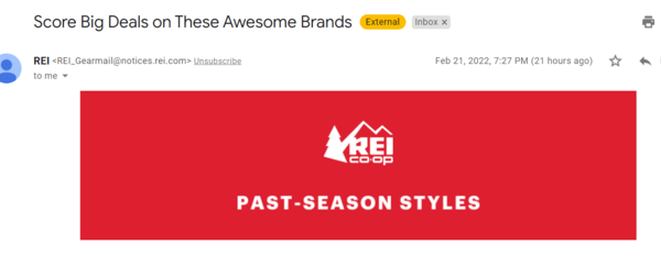 REI email blast