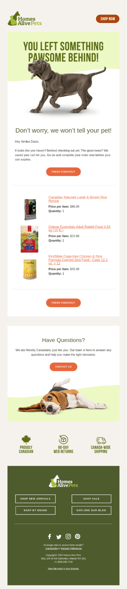 email marketing examples